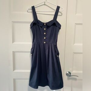 Birds of North America Tyrant dress with pockets